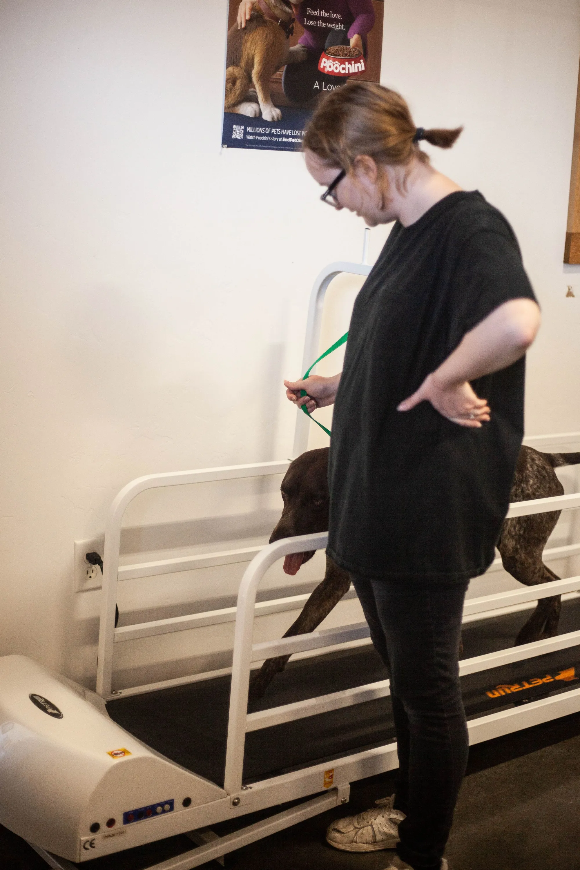 Mountain River Veterinary Hospital