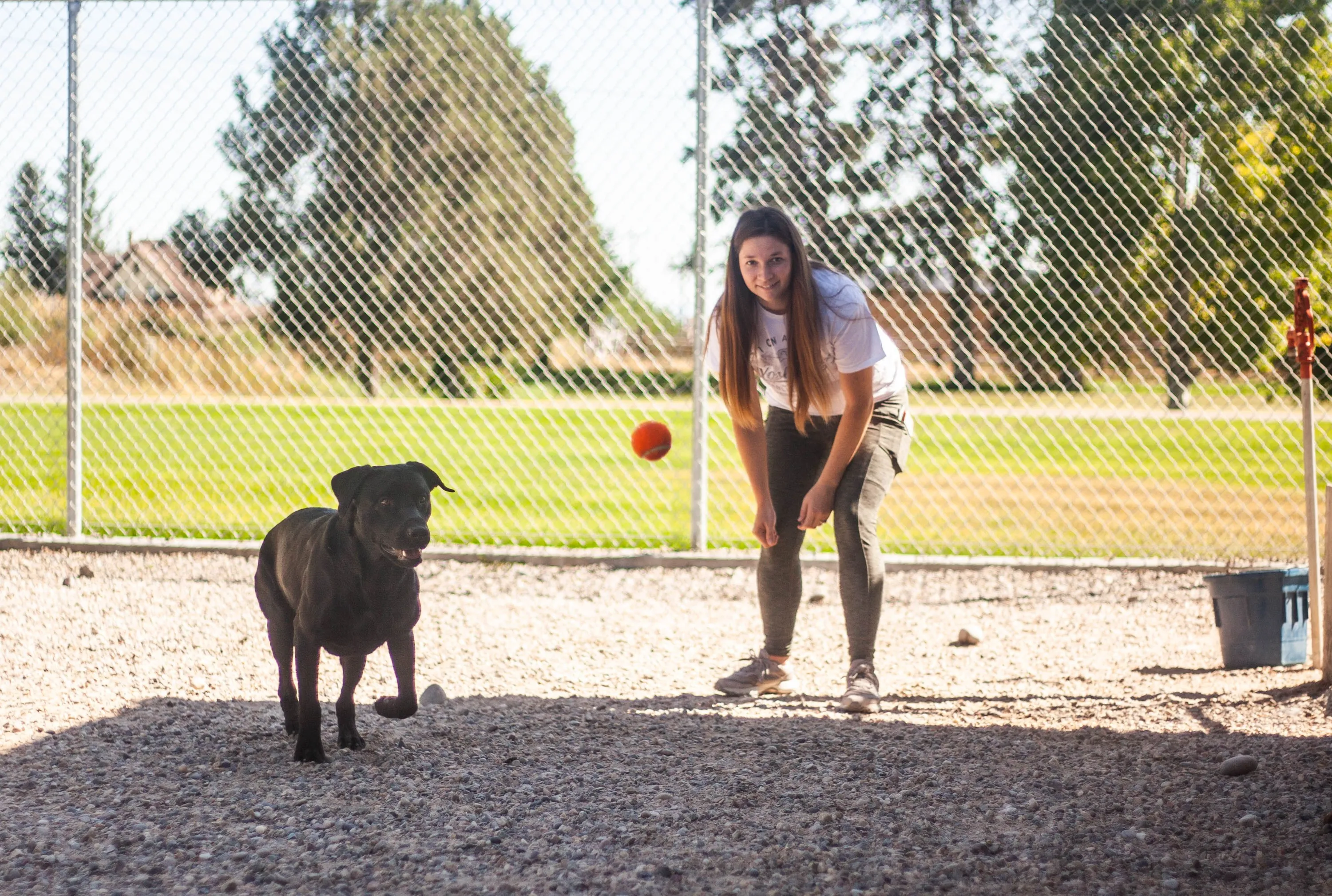 Mountain River Veterinary Hospital